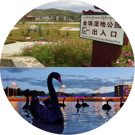 稻城3.png